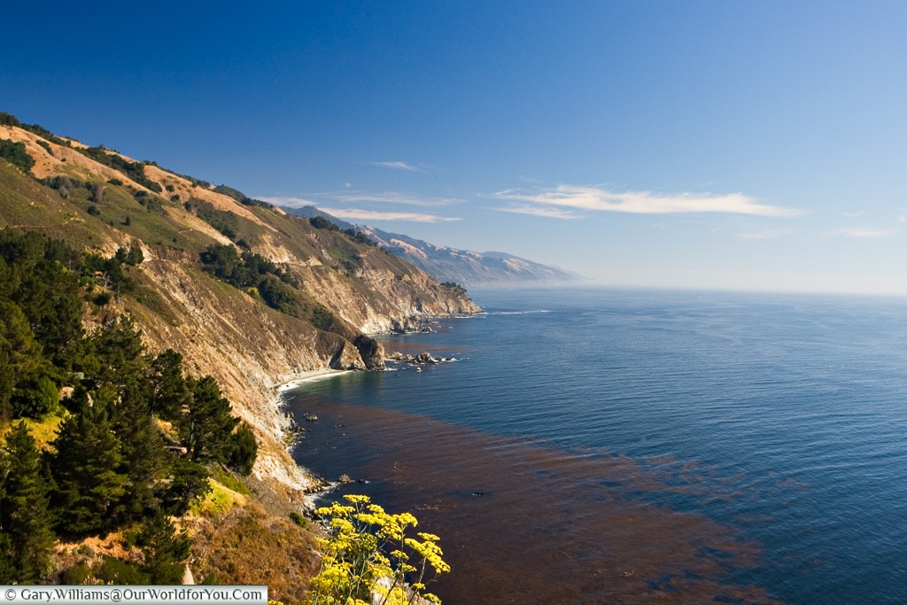 The view along the Highway One, on the West Coast of the U.S.A