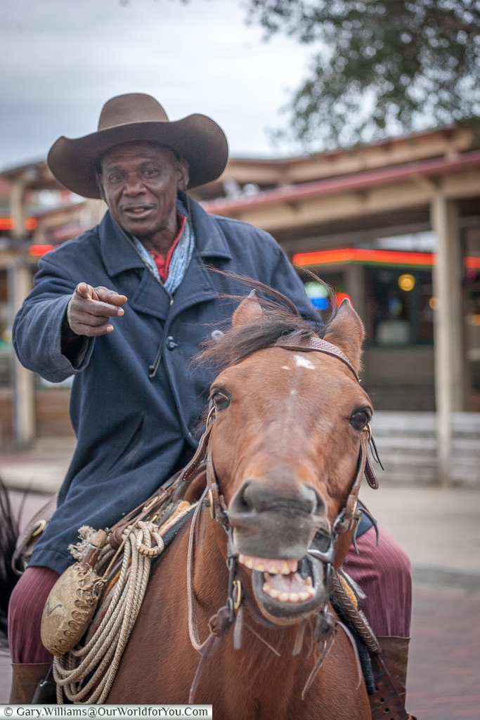 Smile for the camera, Stockyards. Fort Worth, Texas, USA