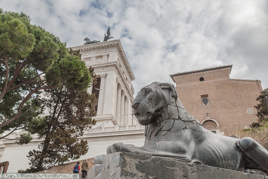 A Lion on the approach to Capitoline Hill, Rome, Italy