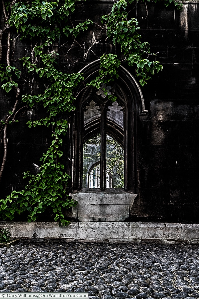 Life clings to the ruins, St Dunstan’s in the East, City of London, UK