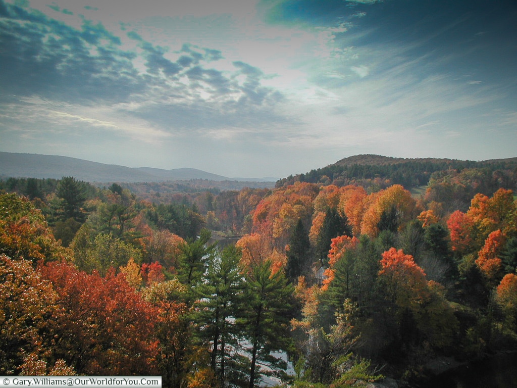 The New England foliage from 2001