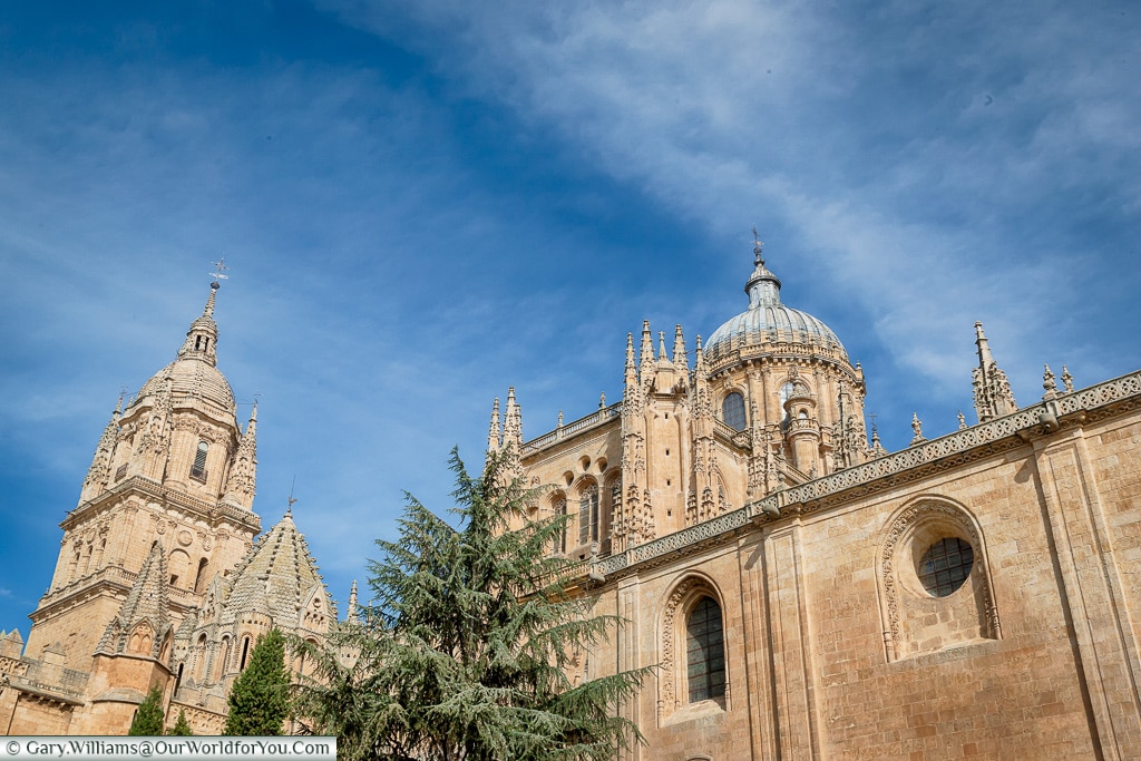 A view of the Catherdals from the south, Salamanca, Spain