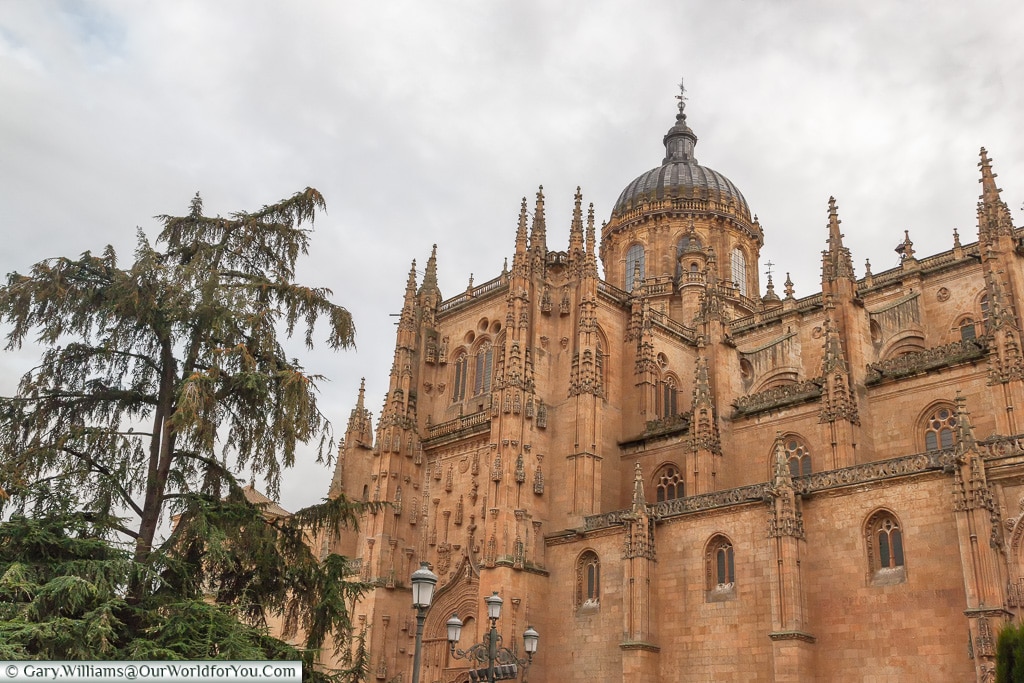 The old Cathedral from the north, Salamanca, Spain