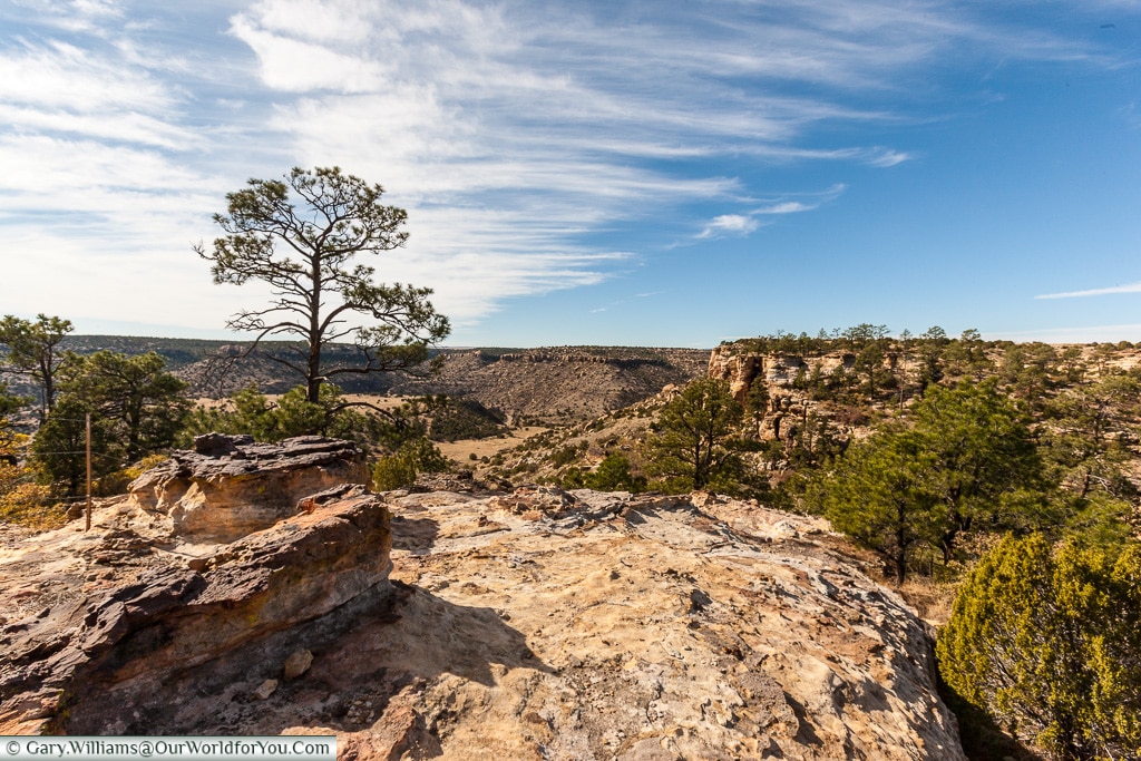 The Landscape of New Mexico, America, USA