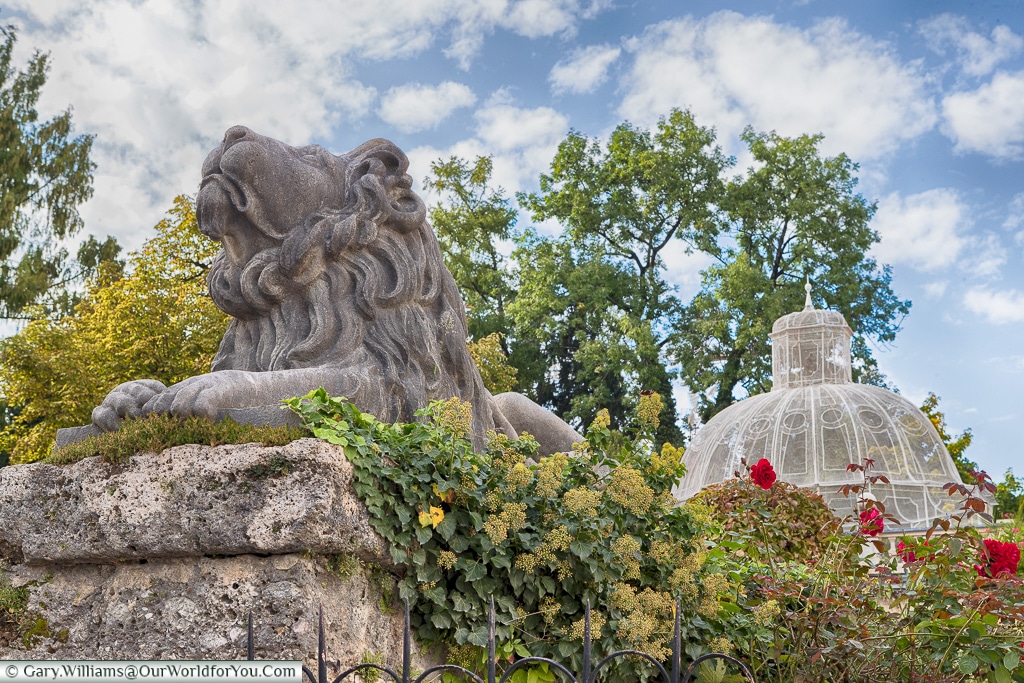A Lion in the Mirabell Palace Gardens, Salzburg, Austria