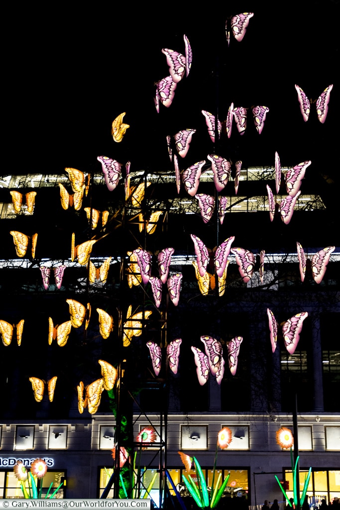 Butterflies in Leicester Square, Lumiere London, London, England, UK