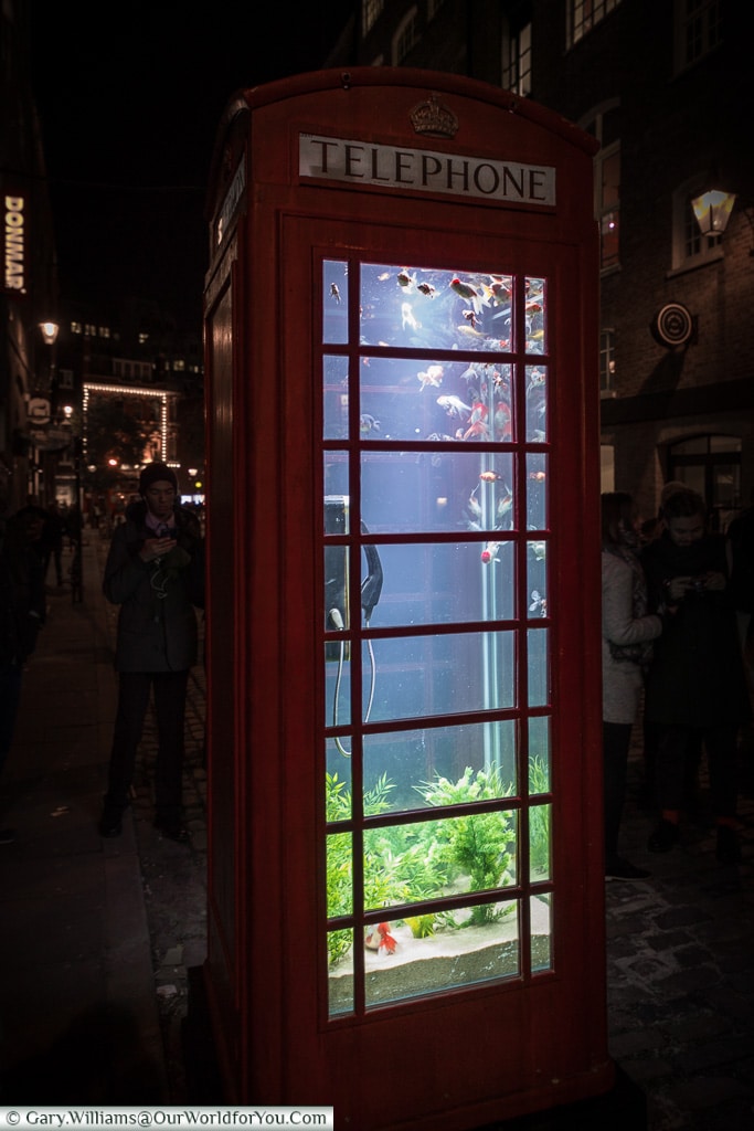 Fish in a phonebox, Lumiere London, London, England, UK