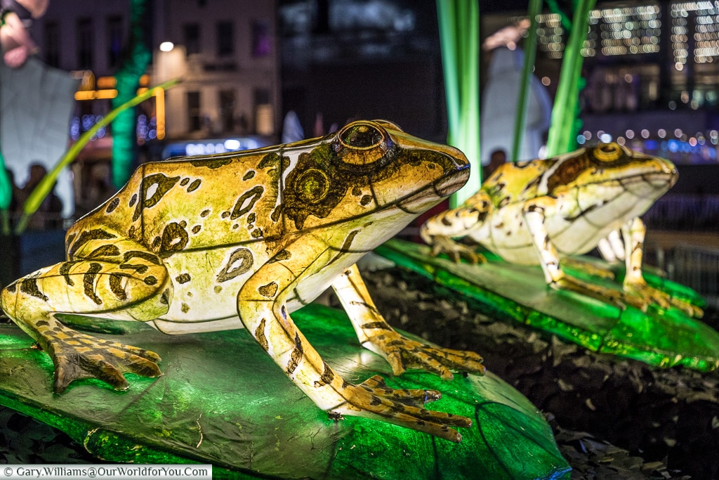 Illuminated frogs, Lumiere London, London, England, UK