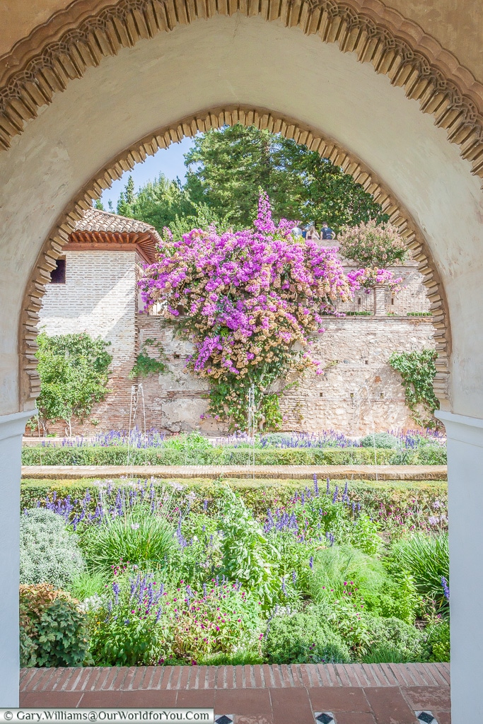 Framed Jardines del Paraiso in the Alhambra, Granada, Spain