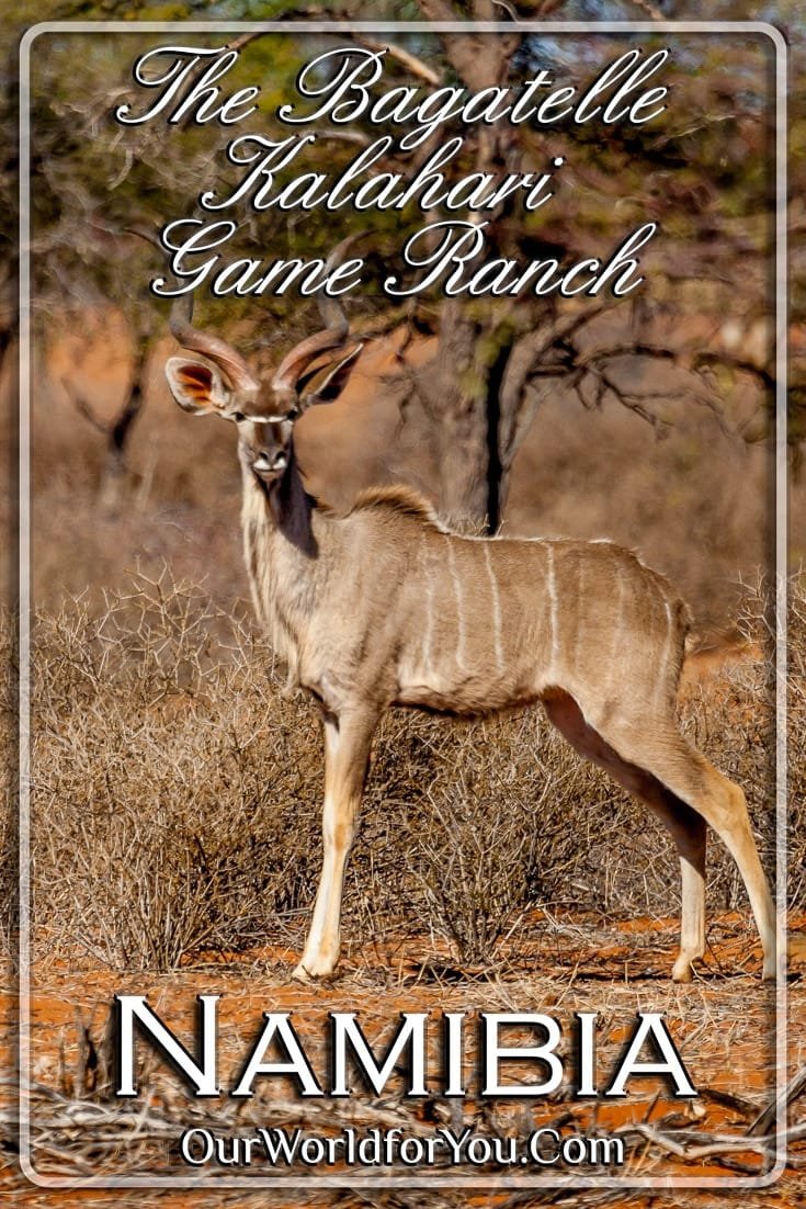 Bagatelle Kalahari Game Ranch, Namibia