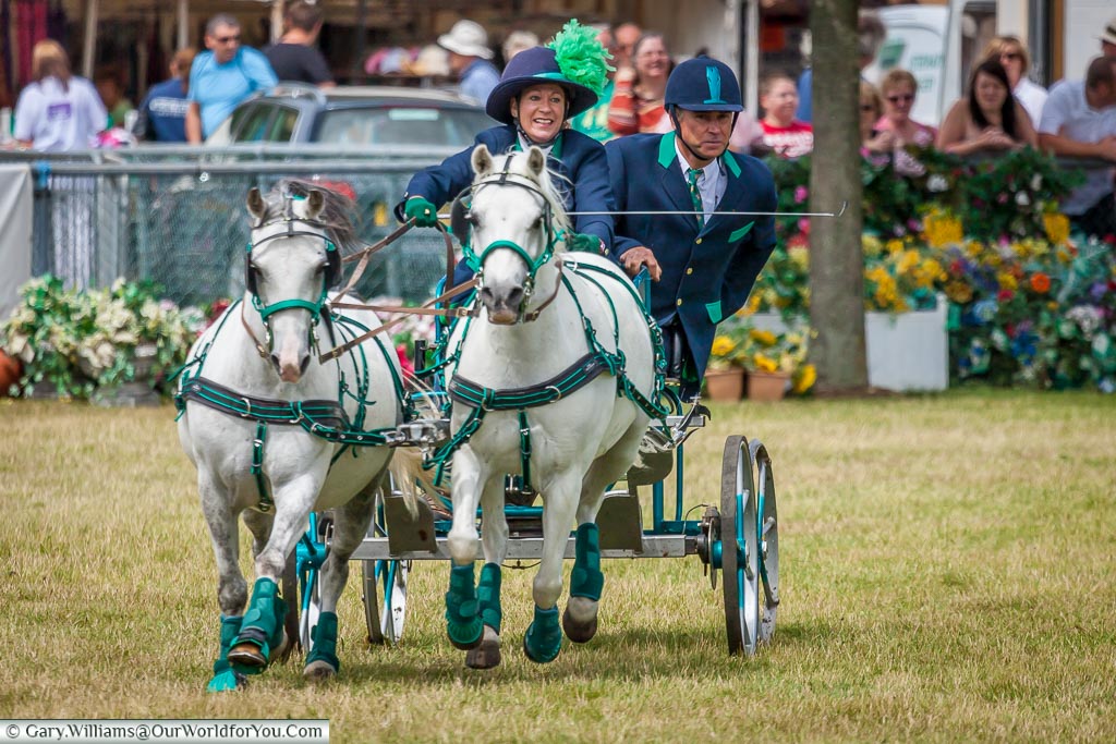 Horse and Trap racing, Kent County Show, Kent, England, UK