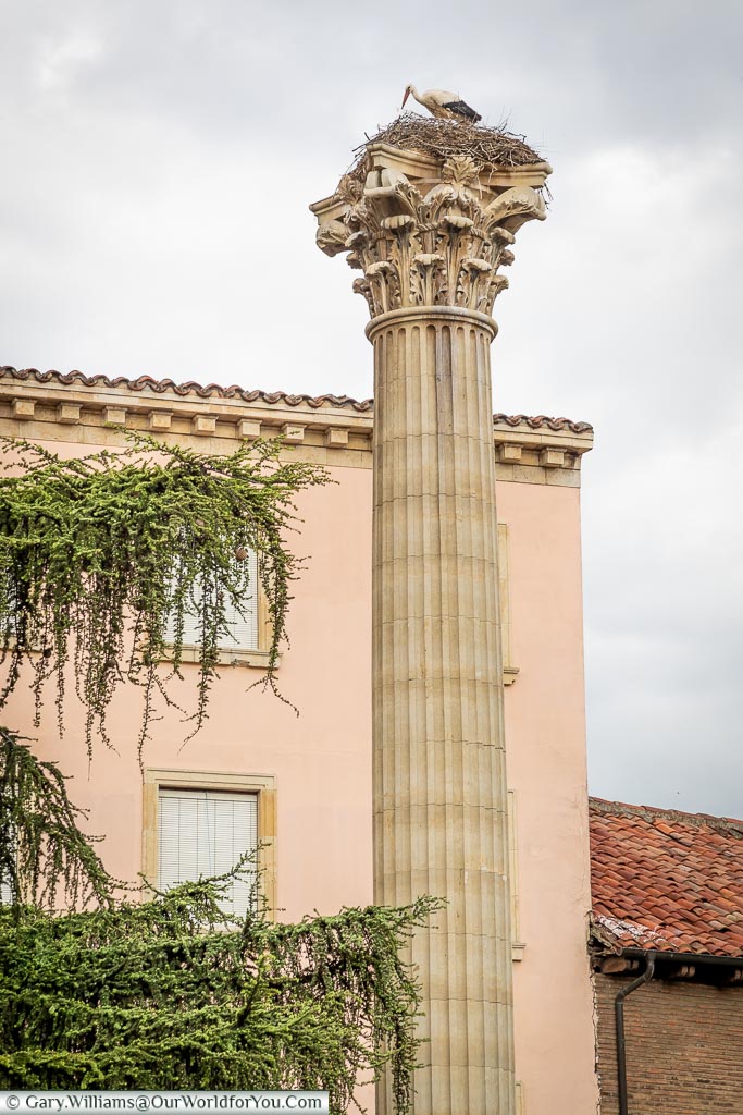 A stork nesting on the top of a single corinthian stone column in León, Spain.