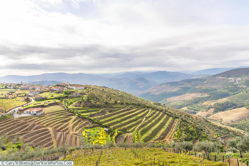 High up in the valley, Douro Valley, Portugal
