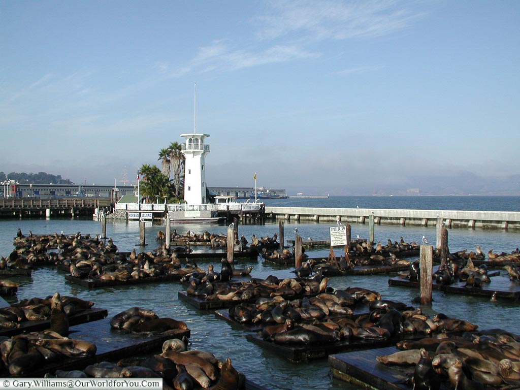 Pier 39 - San Francisco, USA
