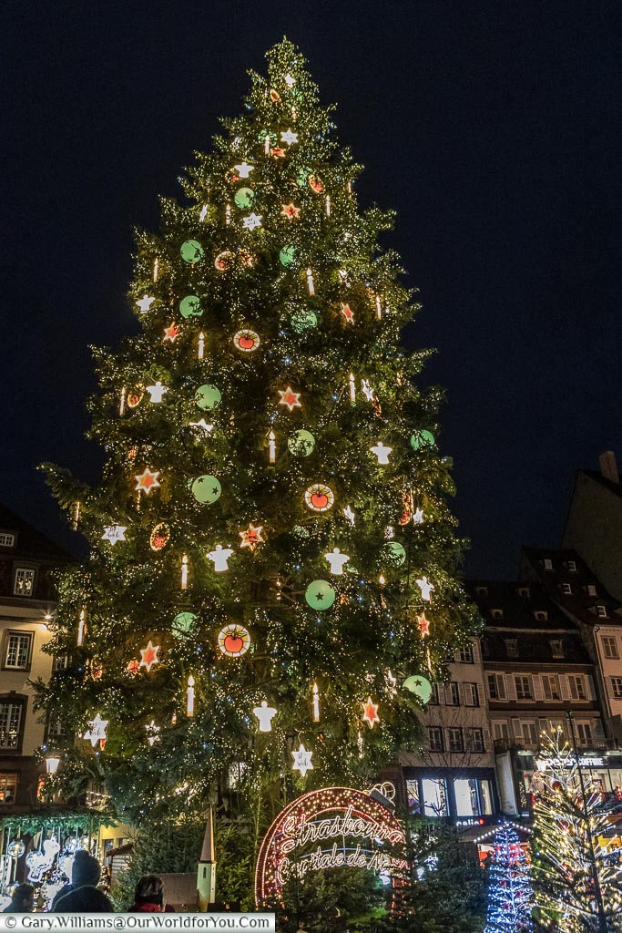 Looking up at the giant Christmas tree in Place Kléber at night.  This is the centrepiece of the cities Christmas Markets in Strasbourg.  The Christmas tree is brightly decorated with fairy lights and illuminated decorations.