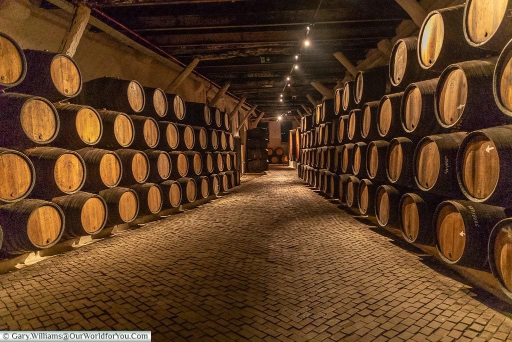 Ageing barrels, Sandeman house,, Porto, Portugal