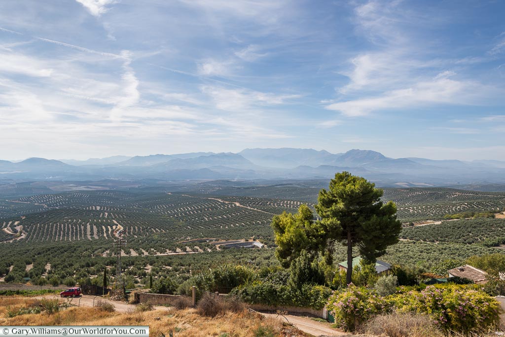 The view over the Olive groves, Úbeda, Spain