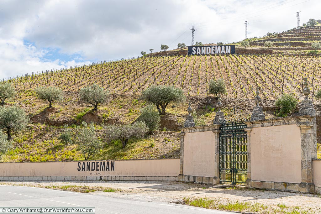 Outside the Sandeman Estate, Douro Valley, UNESCO, Portugal