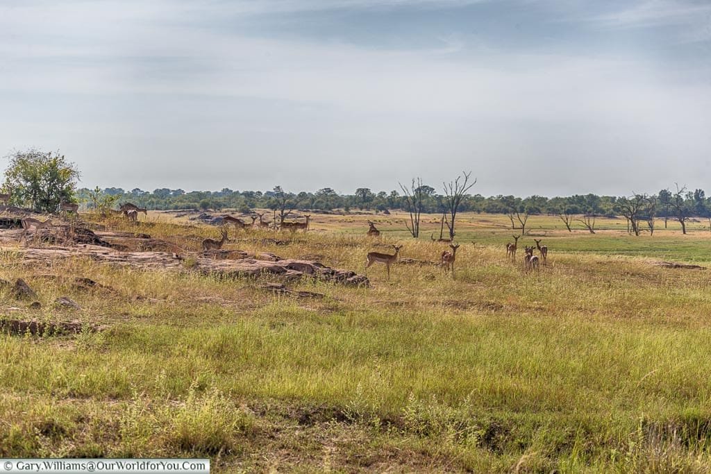 What a landscape, Rhino Safari Camp, Lake Kariba, Zimbabwe