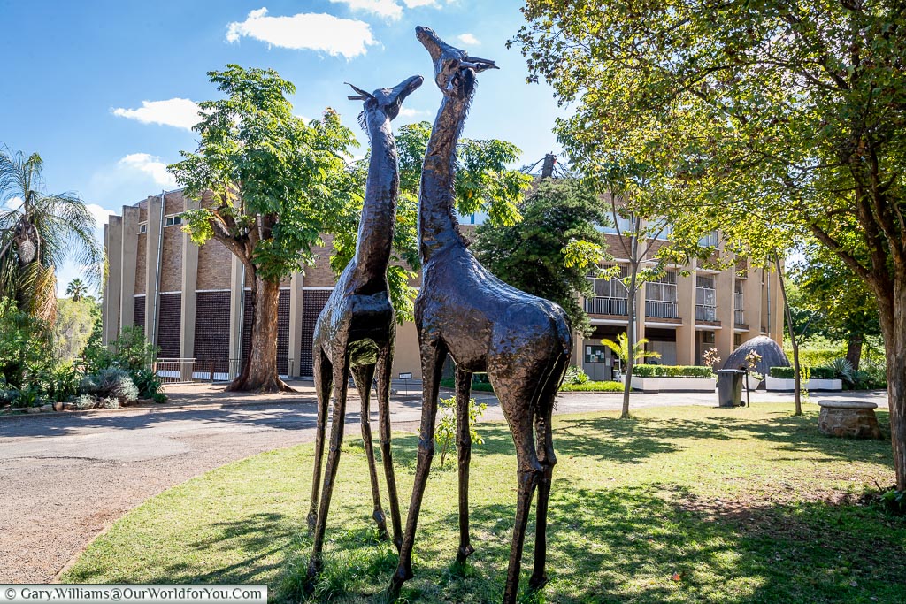 Two metal giraffe statues standing outside the Bulawayo National Museum.