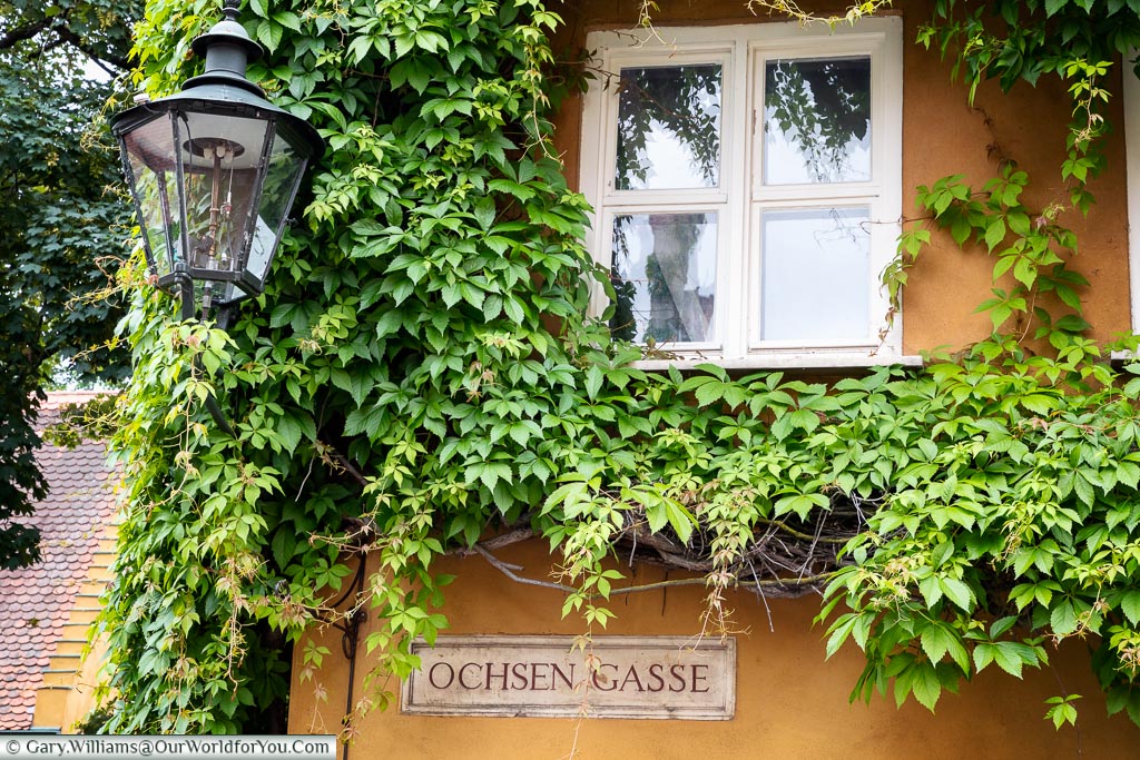An old gas lantern attached to the side of an ochre-coloured building covered in a vine in Ochsen Gasse in the Fuggerei
