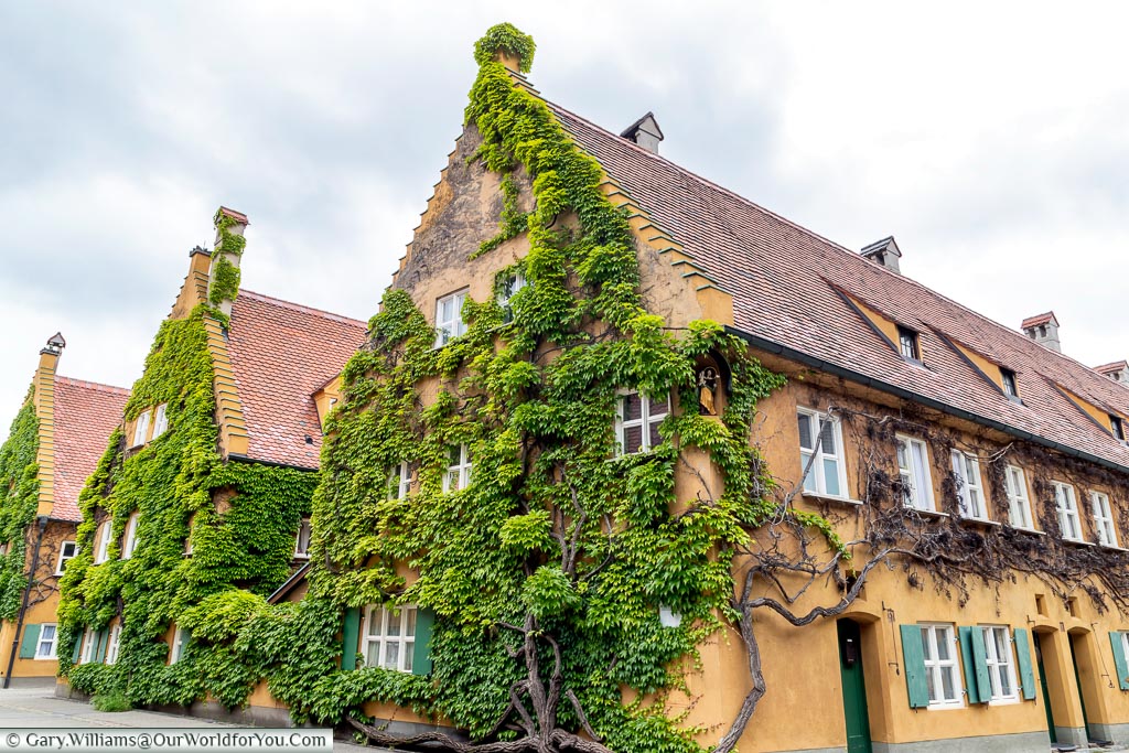 A view of 3 rows of terraced homes in the Fuggerei with vines growing up against the gable end.