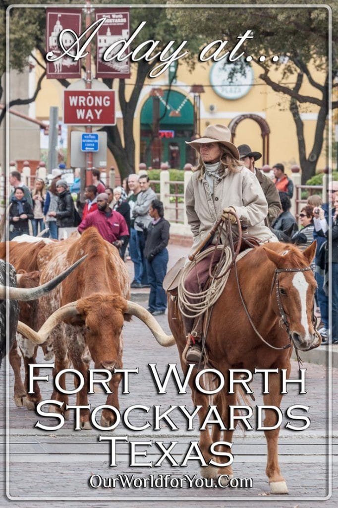 A day at Fort Worth Stockyards, Texas -Pinterest