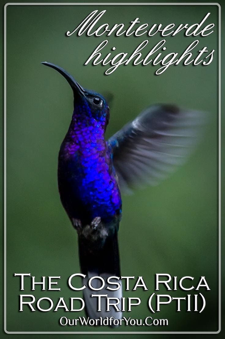 The Pin Image for our post - 'Costa Rica Road Trip (Part 2) Monteverde highlights'
