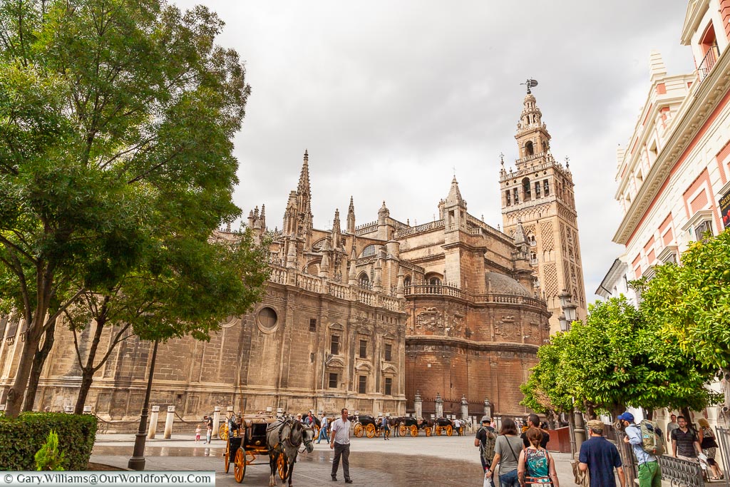 Seville Cathedral from the outside, with a clear view of its tower that was once a minaret of the Mosque.  A line of horse & carriages line the side, awaiting fares from tourists.