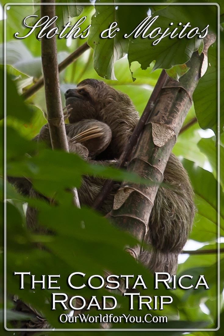 The pin image for our post -'Sloths & Mojitos – The Costa Rica road trip'