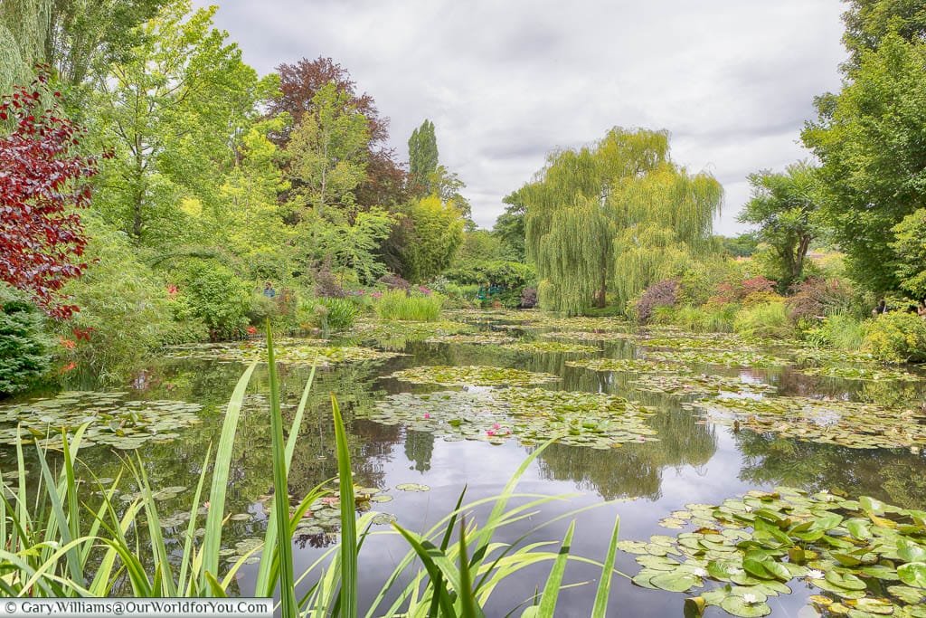 Looking across the lily ponds in Claude Monet's gardens in Giverny on a grey day in July.