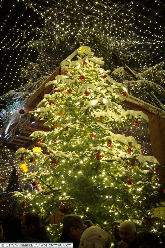 A snow-covered Christmas tree under the blanket of lights at Cologne's Dom Market