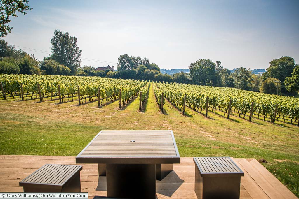 A table and stools on the decking outside the Wine Sanctuary overlooking the Bacchus vines.