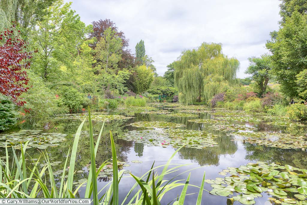 Looking across the lily ponds in Claude Monet's gardens in Giverny on a grey day in July.