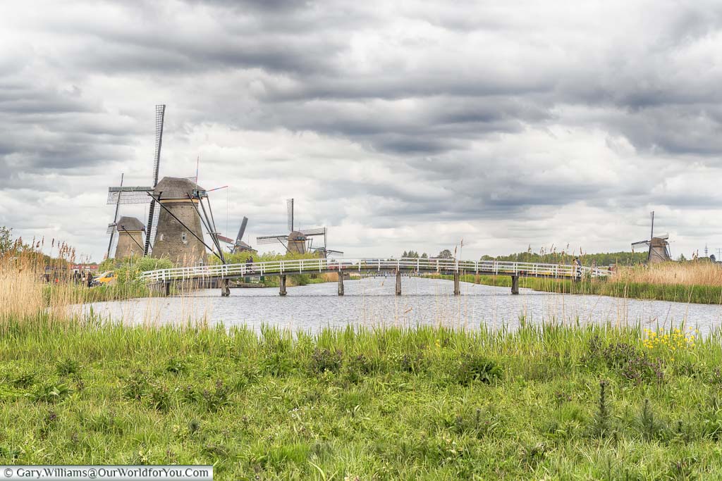 Standing on a grassy bank in front of a large, wide, canal at KinderDjik in the Netherlands. On the left side you can see at least 4 windmills with a further windmill on the righthand side.