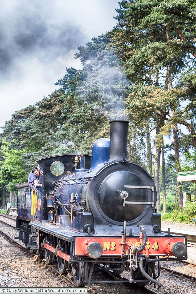 A blue steam locomotive, number 564, pulling into Holt station on the North Norfolk Railway line.