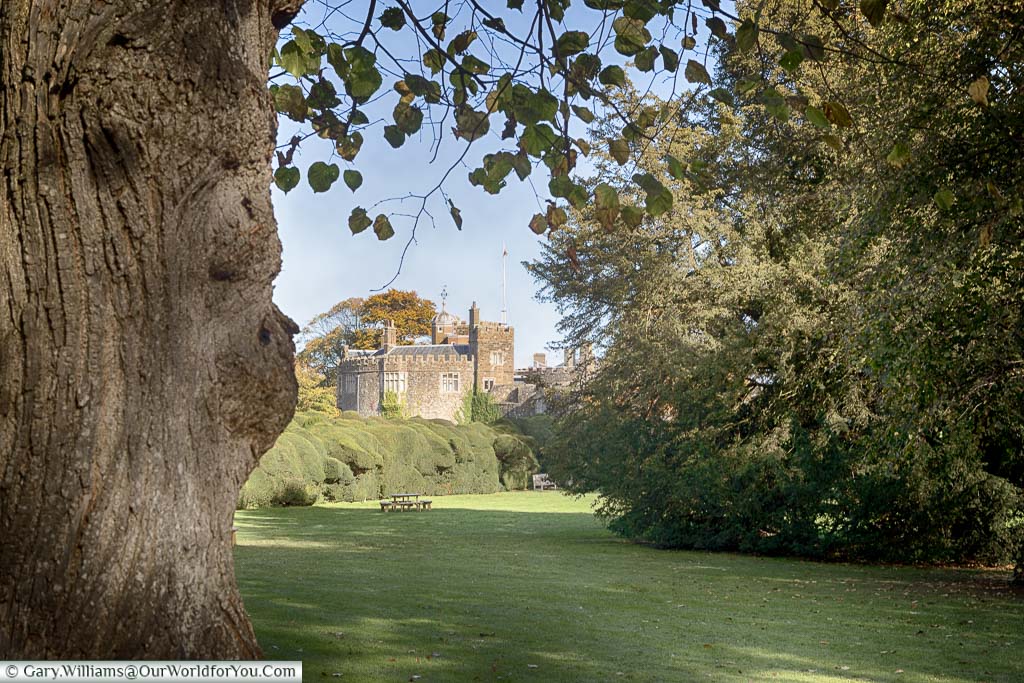 The view of Walmer Castle from its grounds. Framed on one side by a tree-trunk, and on the other by a large shrub.