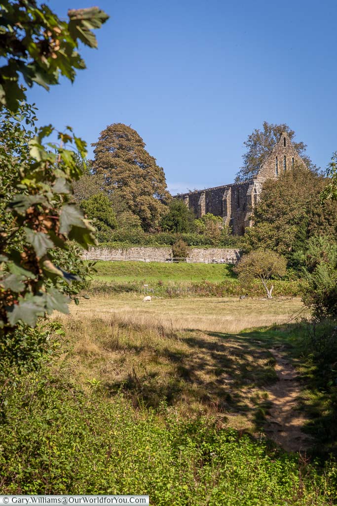 Looking through the foliage, across the battlefield toward the Abbey ruins.