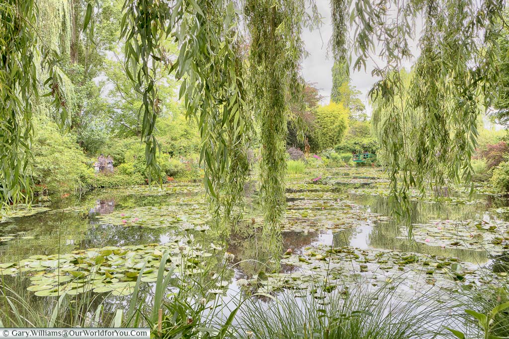 Looking through the leaves of a weeping willow tree across a lily pond towards a green bridge in the distance in Claude Monet's gardens in Giverny on a grey day in July.