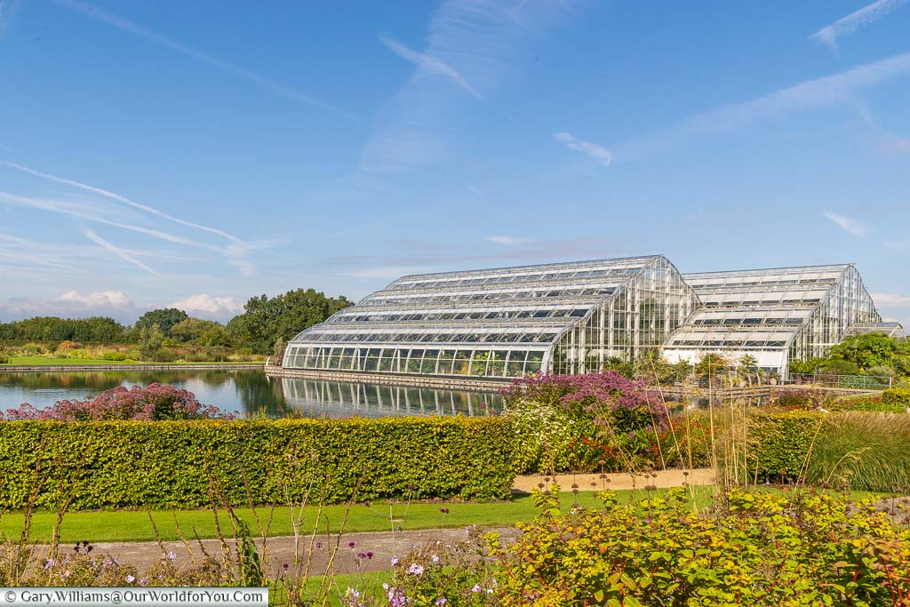 The giant Glasshouse next to the lake that houses RHS Wisley's more exotic horticulture collections.