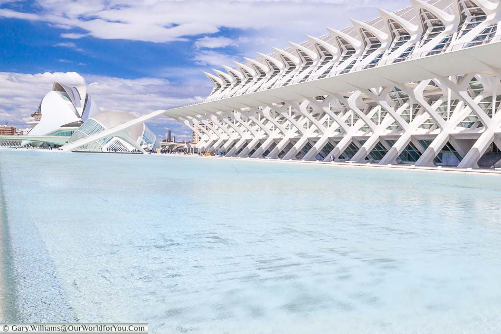 A pool in front of the futuristic-looking Auditori Santiago Grisolía in the City of Arts and Sciences in Valencia, Spain