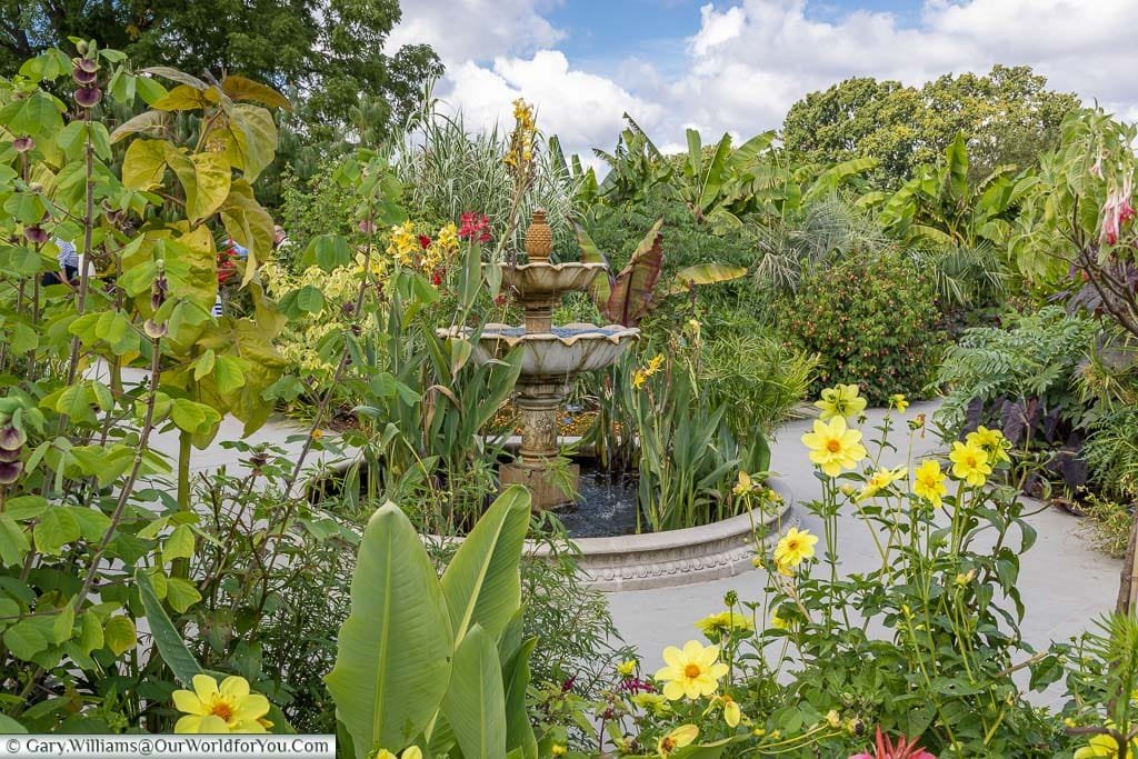 Looking through the Exotic Garden to the fountain in the centre.