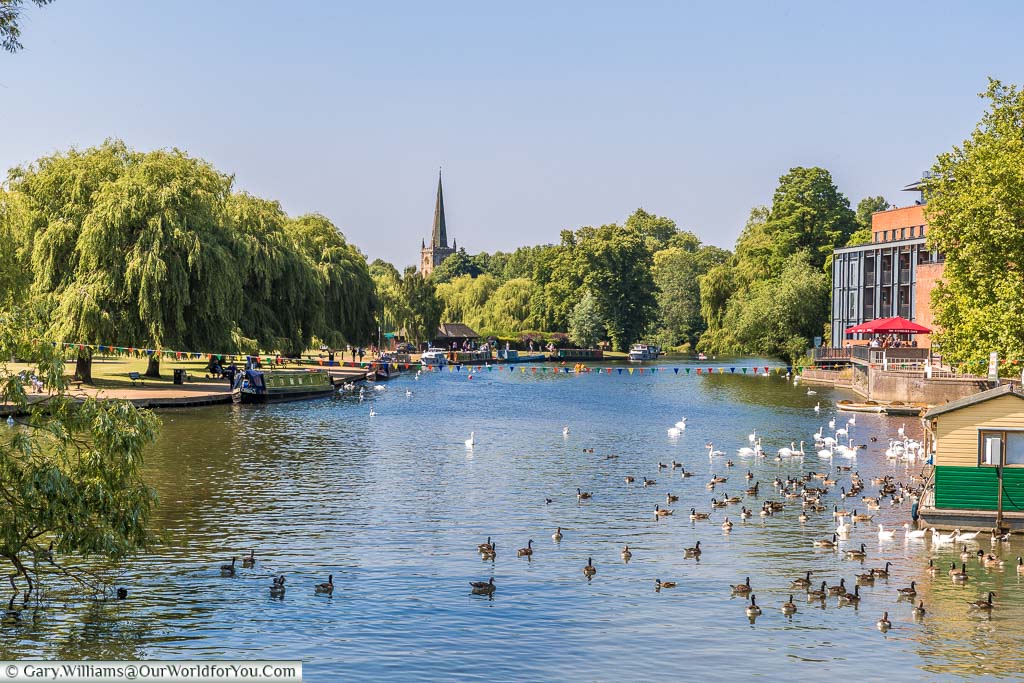 A view of the River Avon with ducks and geese floating on the water surface and canal boats moored along the leafy banks of the river’s edge.