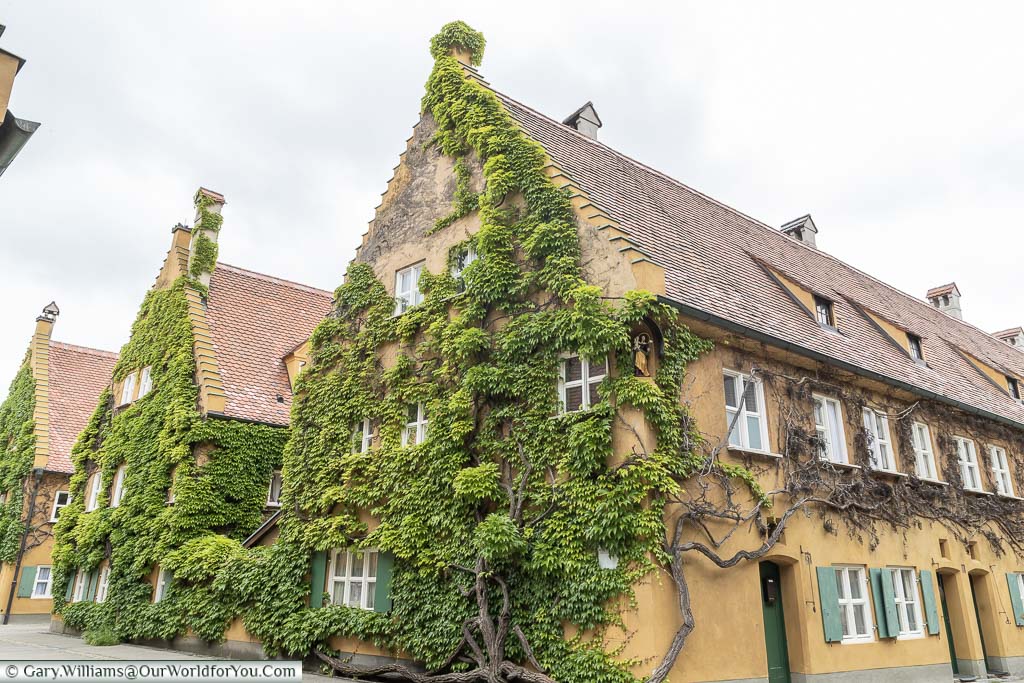 Creeping plants climb up one edge of the uniform homes in the historic Fuggerei housing project in Augsburg.