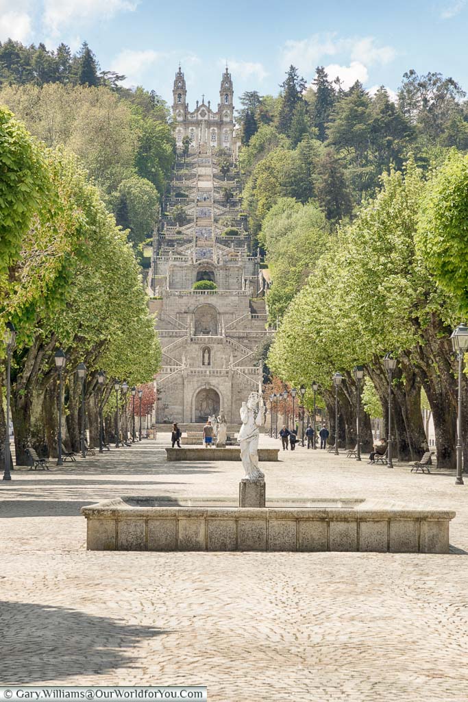Looking along a tree lined square to the staircase that leads to Our Lady of Remedies chapel on the hillside of Lamego, Portugal