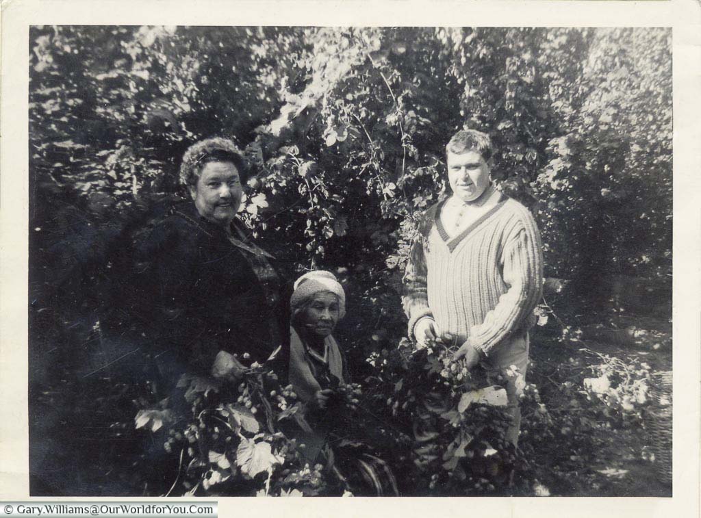 A black & white picture from the early 1960's of Janis's family out hop picking in Kent