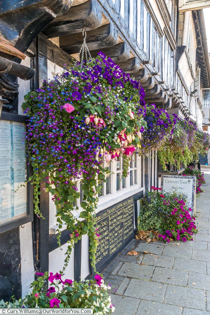 A street scene of hanging baskets being displayed from a half-timbered period building