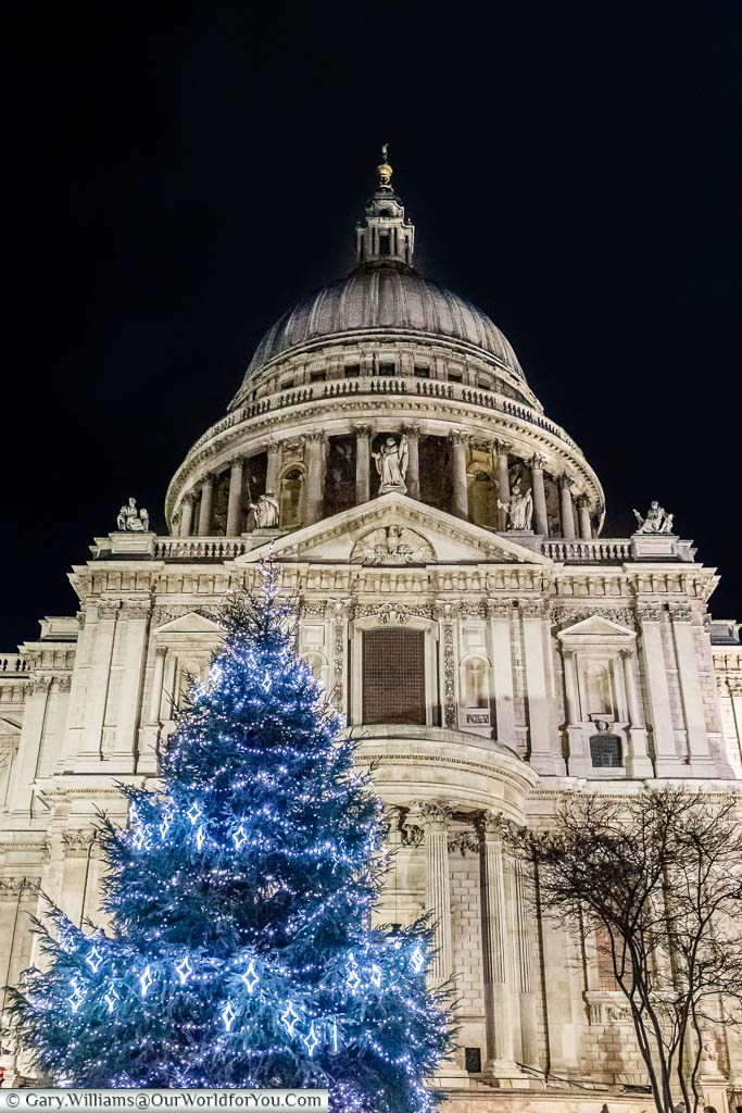 A Christmas Tree, decorated with blue lights, in front of St Paul's Cathedral in London.