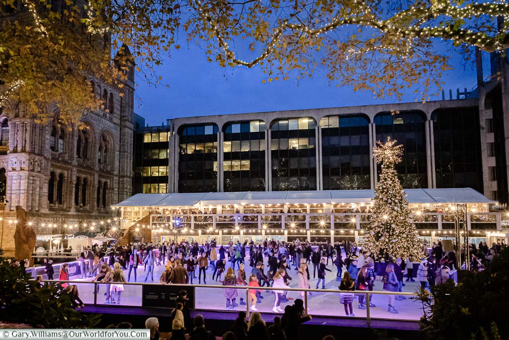 Overlooking the Natural History museum's ice rink at dusk. The ice looks busy and skaters circle the Christmas tree at the far end of the ice rink.