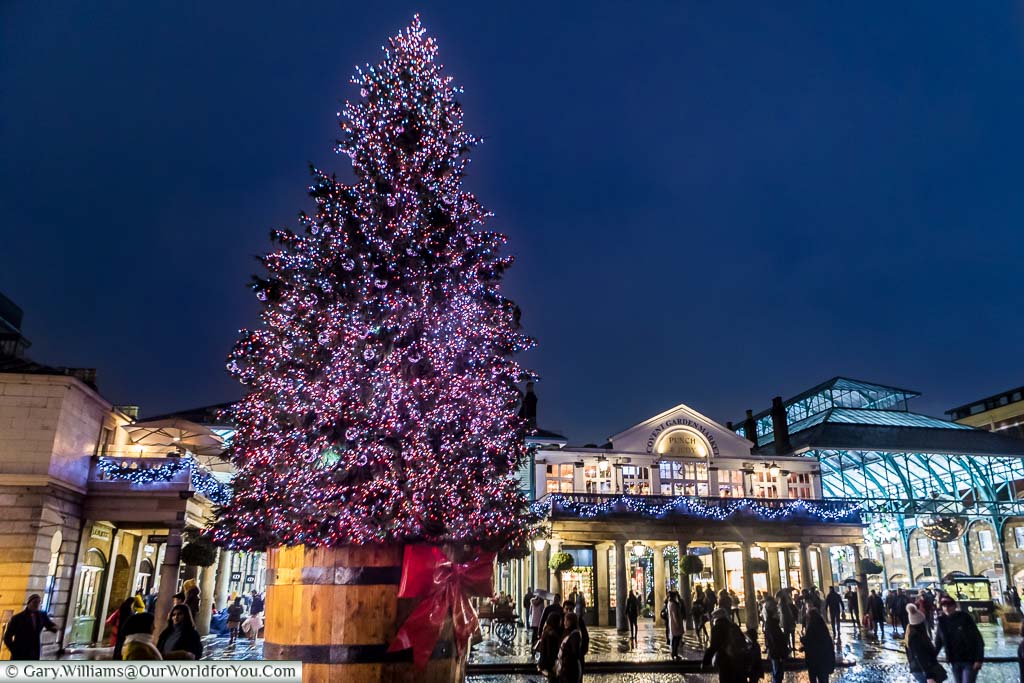 A 14 metre, illuminated Christmas Tree, with purple fairy lights in a wooden barrel in front of decorated Covent Garden Market in London at dusk.